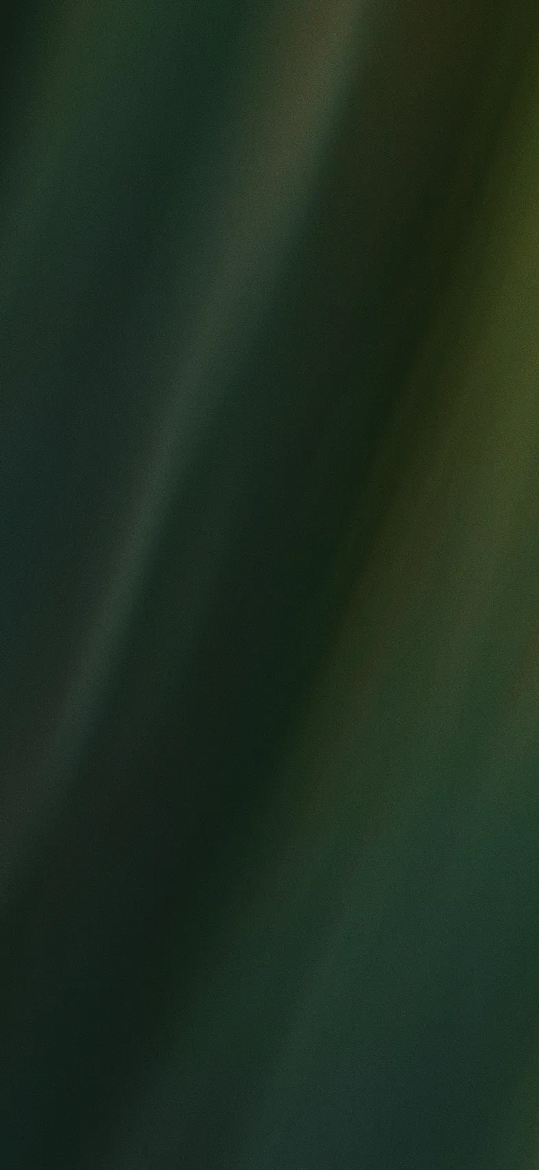 feedback_bg