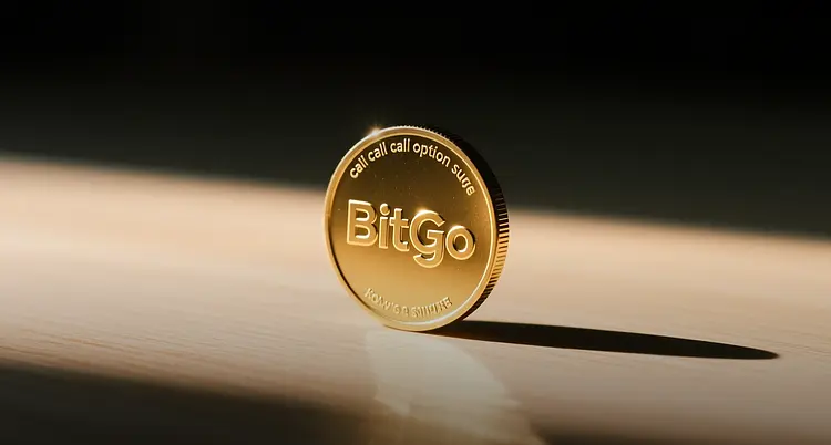 BitGo Holdings選擇權隱含波動率因22.5美元買權而飆升