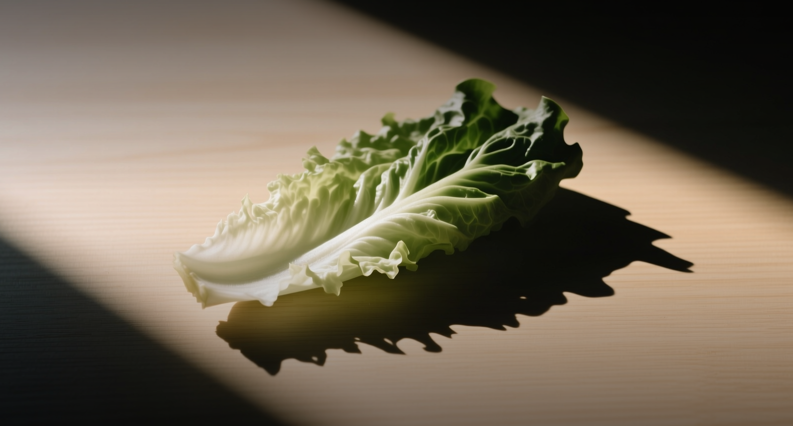 CDC reports 1,644 cyclospora cases as Taylor Farms recall spurs food guide