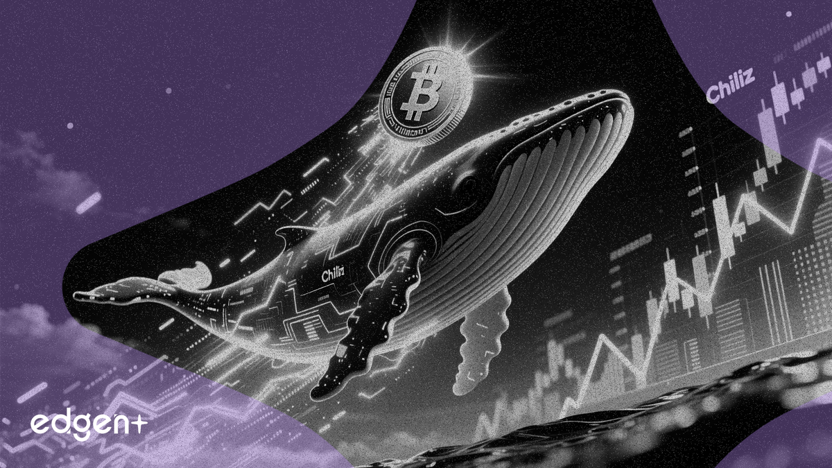 Chiliz Jumps 7.5% to $0.0460 as Whales Add 60 Million Tokens