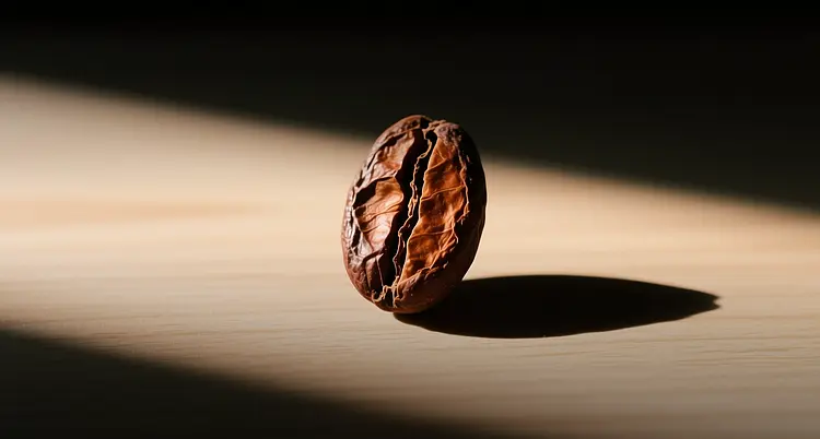 Cocoa doubles to $6,000 as West Africa crop faces 18% cut