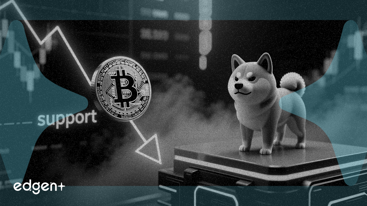 Dogecoin 跌 5% 測試關鍵支撐位，SHIB 表現平穩