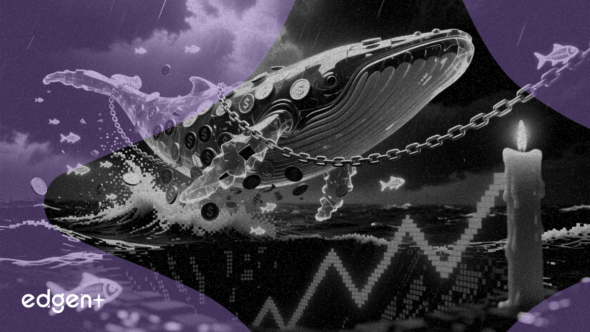 Ethereum whales sell as retail accumulation hits record highs