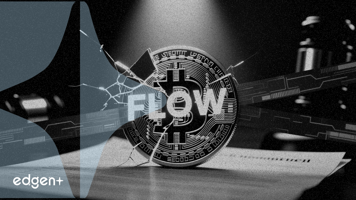 Flow cryptocurrency faces securities probe from 1 top law firm