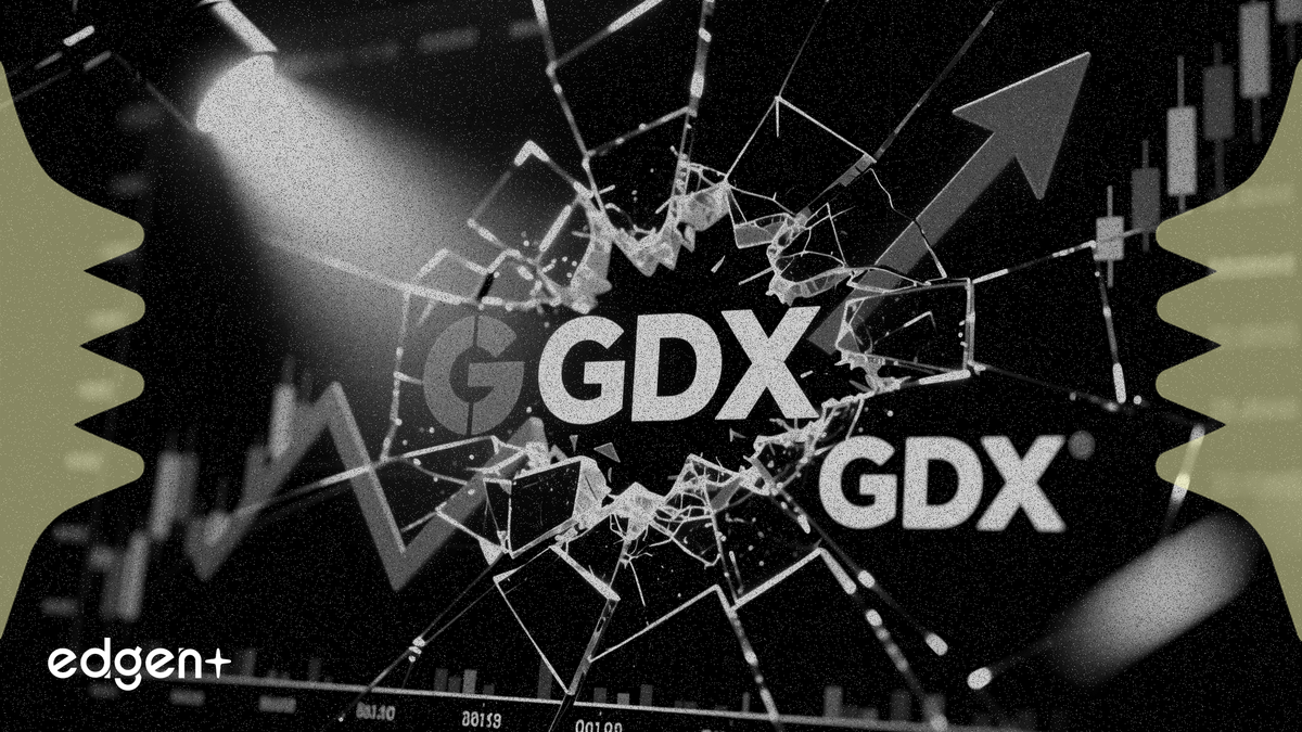 GeneDx Stock Plummets 49% on Weak Earnings, Sparking Investigation