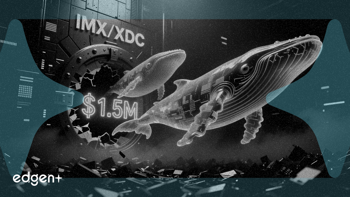 IMX和XDC出現150萬美元交易所流出，巨鯨持續囤幣