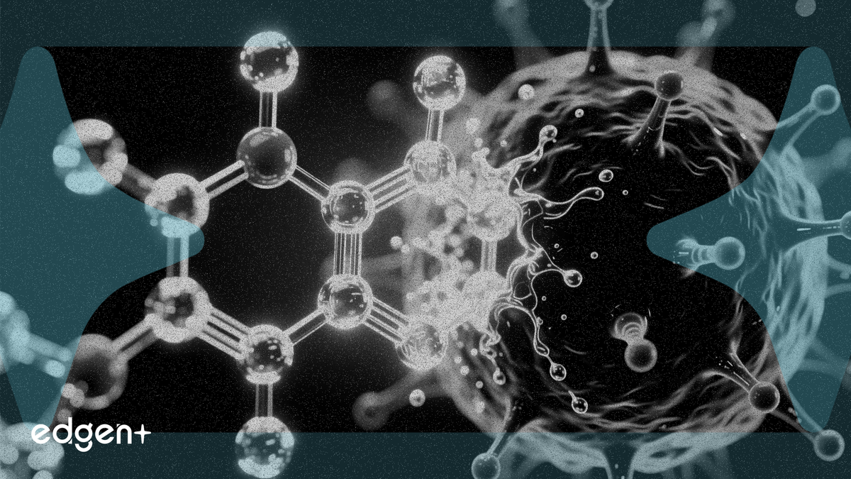 InnoCare Cancer Drug Achieves 100% Response Rate in New Data