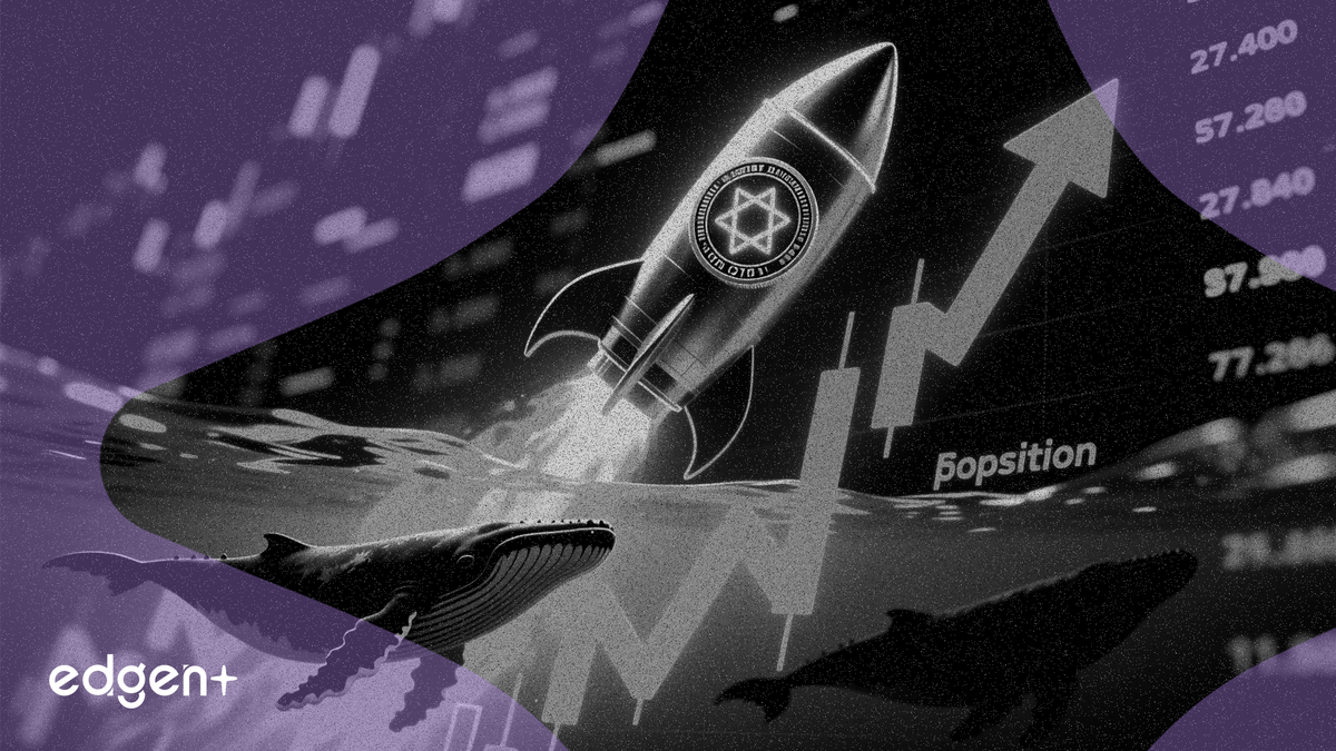 IOTA surges 14% as whales accumulate and perp traders go long