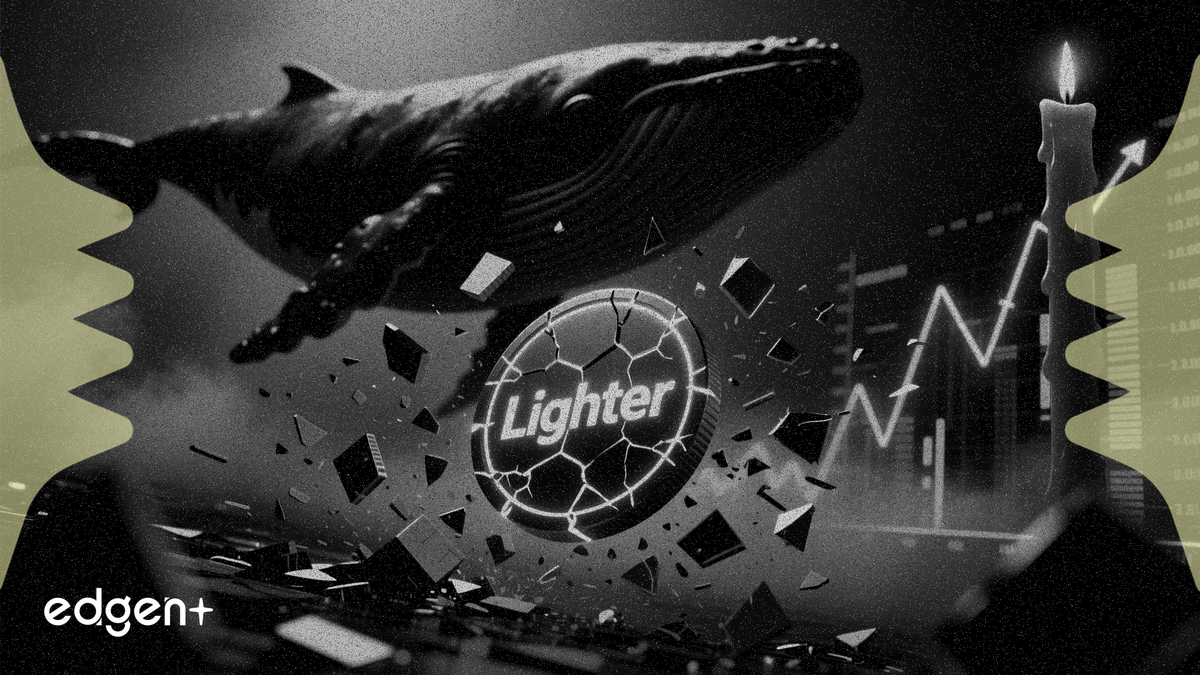 Lighter token drops 16% as whale activity signals trend reversal