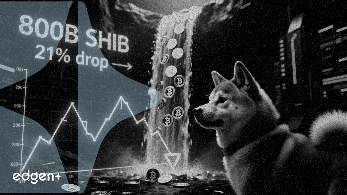 柴犬幣 (SHIB) 交易所流出量下降 21%，巨鯨轉移 8000 億枚 SHIB
