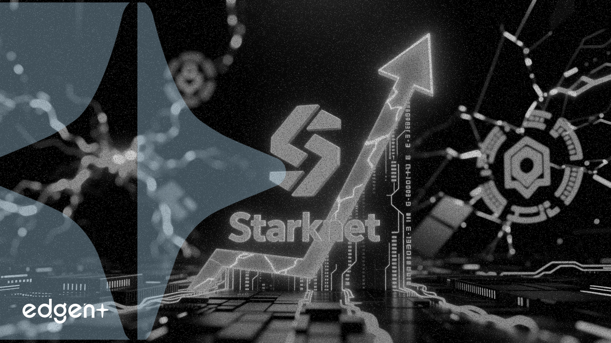 Starknet surges 35% as privacy coins rally on quantum fears