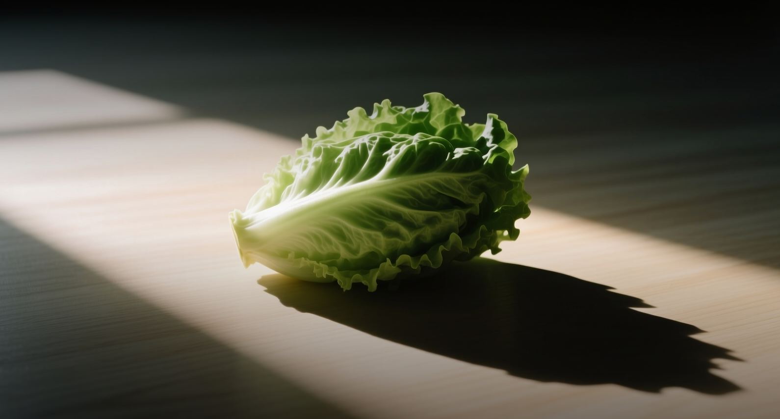 Taylor Farms cyclospora outbreak sickens 9,481 as FDA probes supplier
