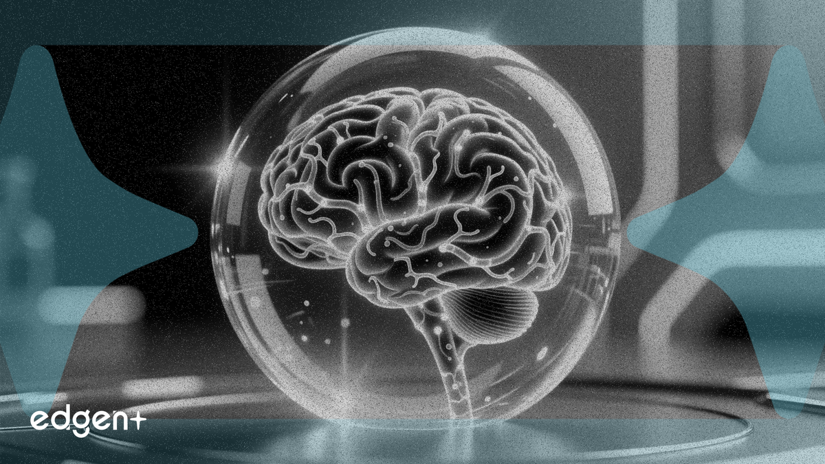 Telix completes glioblastoma trial enrollment with 0 dose-limiting toxicities