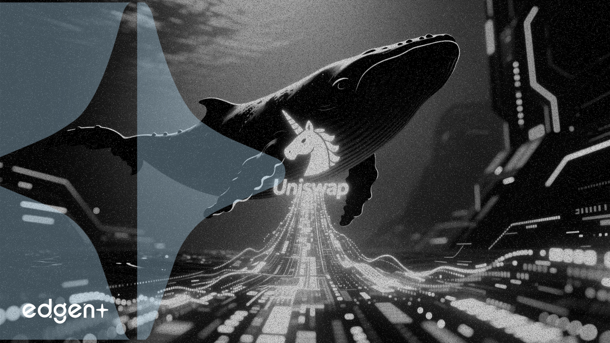 Uniswap token rises 4% as whale activity signals confidence