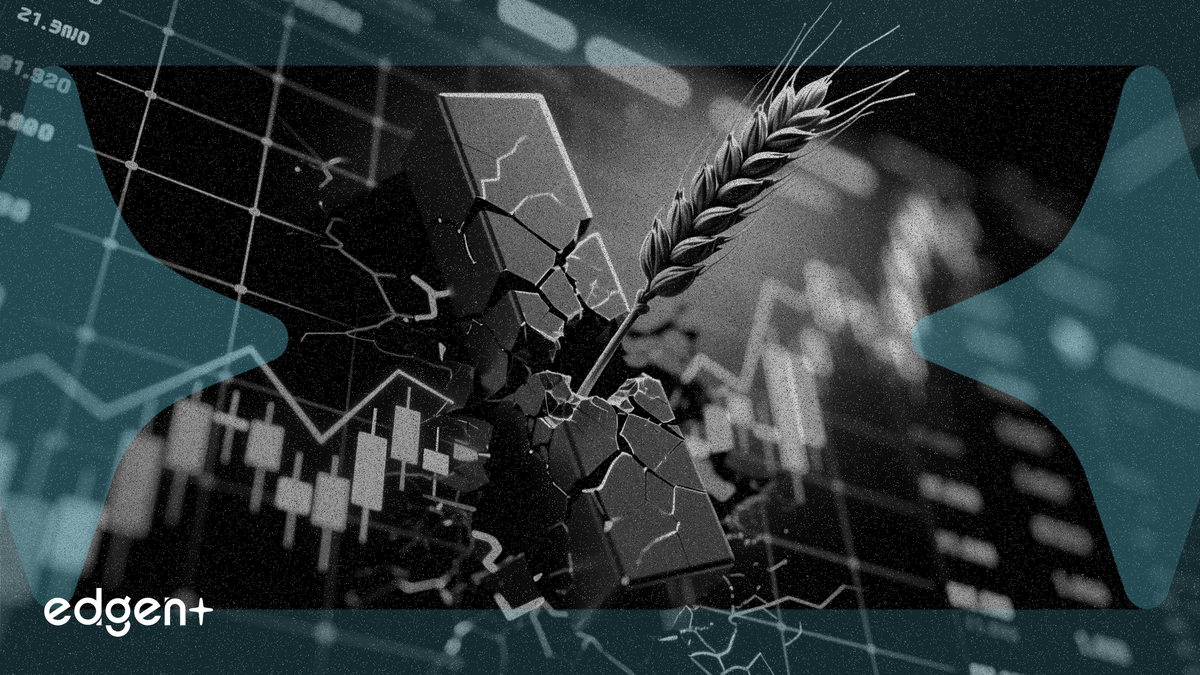United Natural Foods falls 12% as Q3 revenue misses analyst estimates