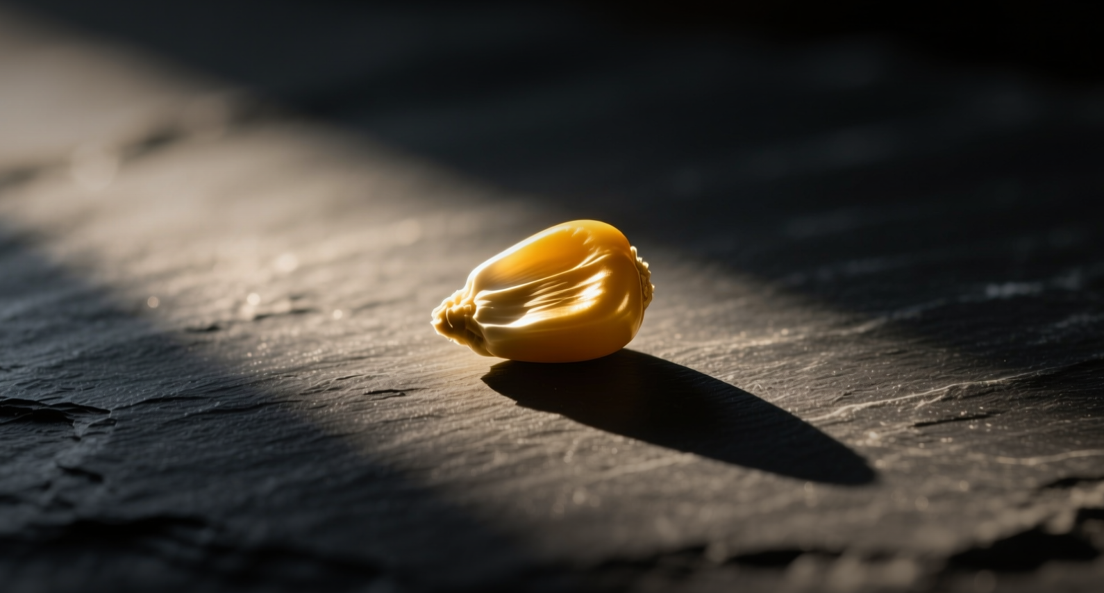 USDA slashes corn stocks 170 million bushels, wheat at 50-year low