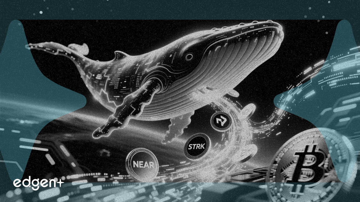 Whale Accumulates $16.7 Million Position in NEAR, STRK and TON