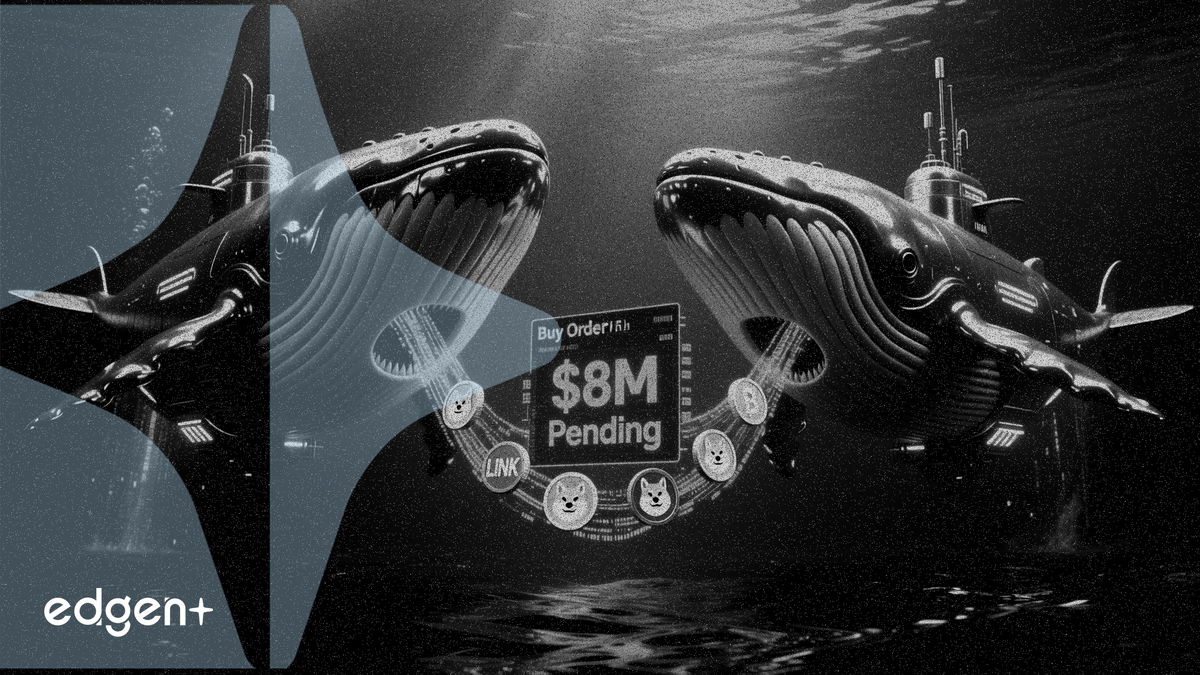 Whale wallets stack $4.3M in LINK and DOGE longs with $8M pending
