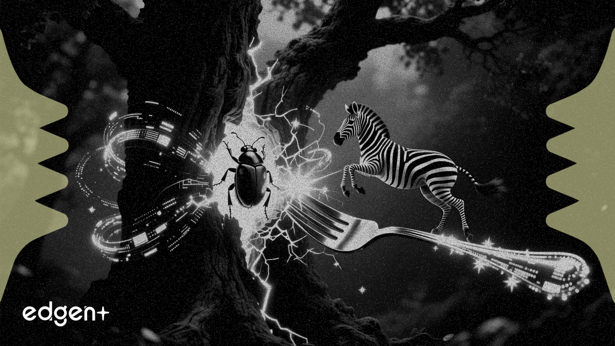 Zcash fixes critical Orchard bug via emergency fork to Zebra 5.0.0