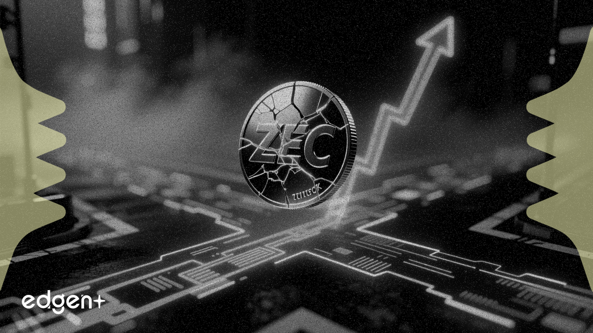ZEC jumps 7% in privacy coin rally as on-chain data diverges